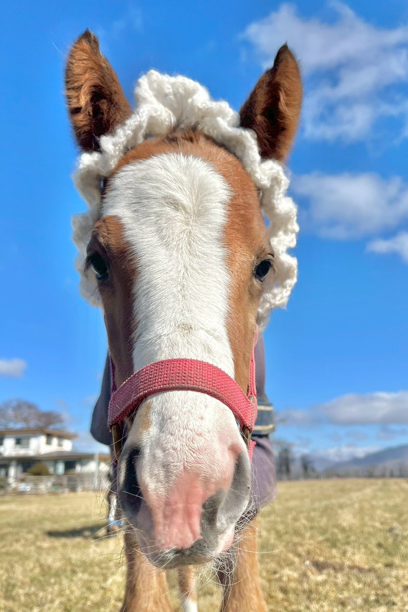 NACO (@NACONaCo1009) / Posts / X