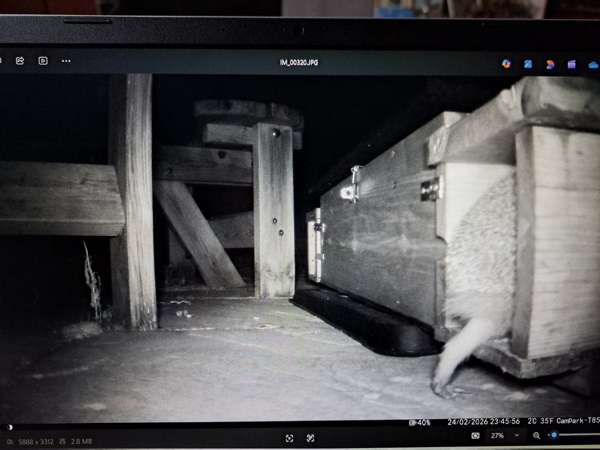 Steven J Beale🚍 tweet media