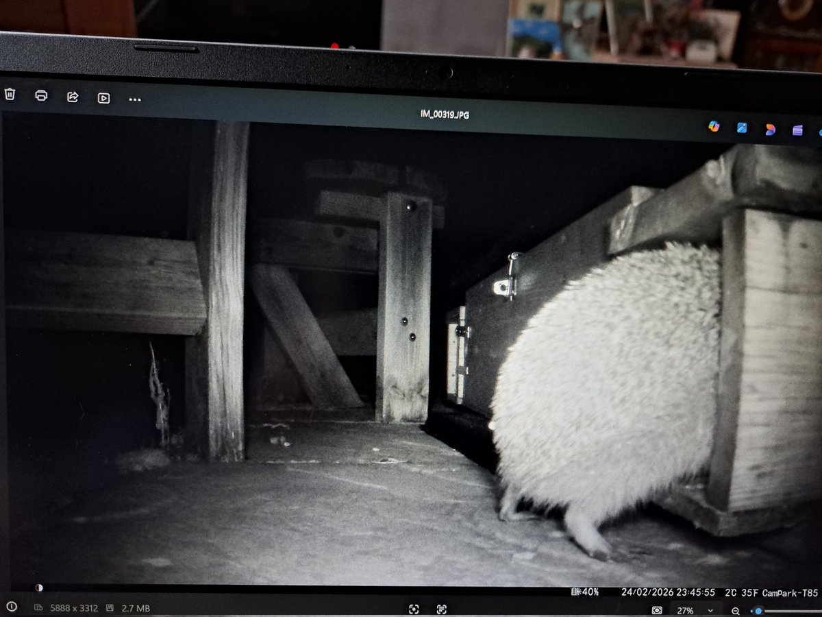 Steven J Beale🚍 tweet media