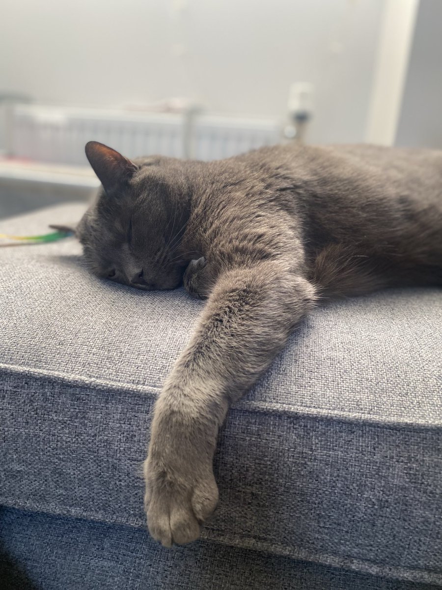 Abbey Fender tweet media