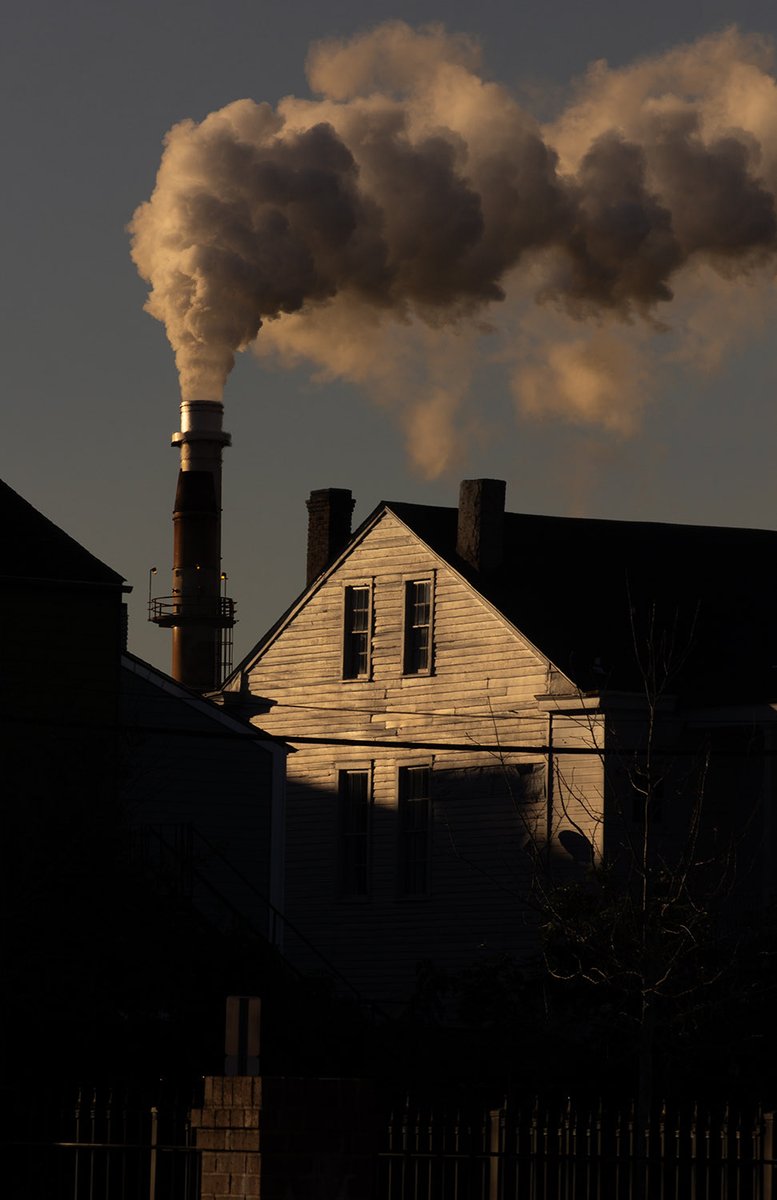 photos i’ve taken around New Orleans, Louisiana