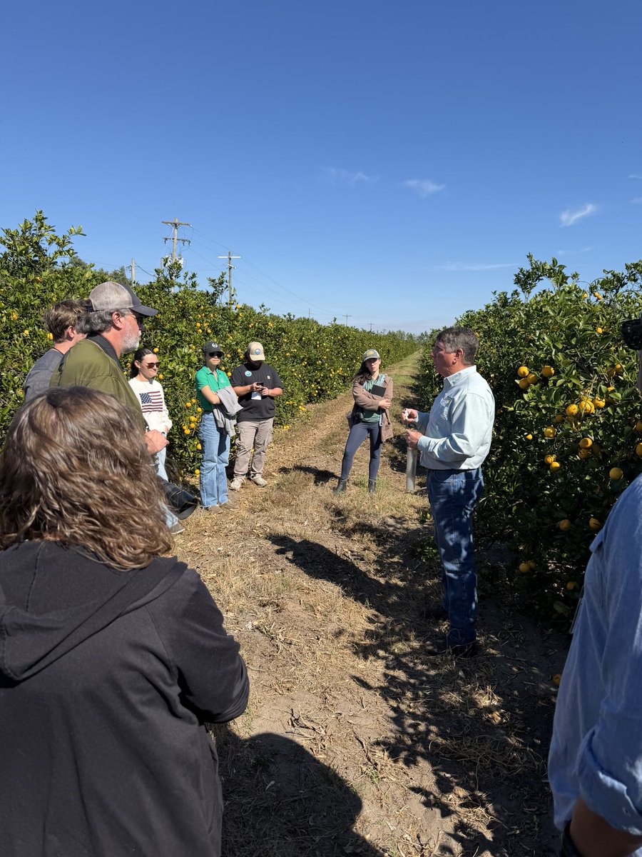 Lance Watson tweet media