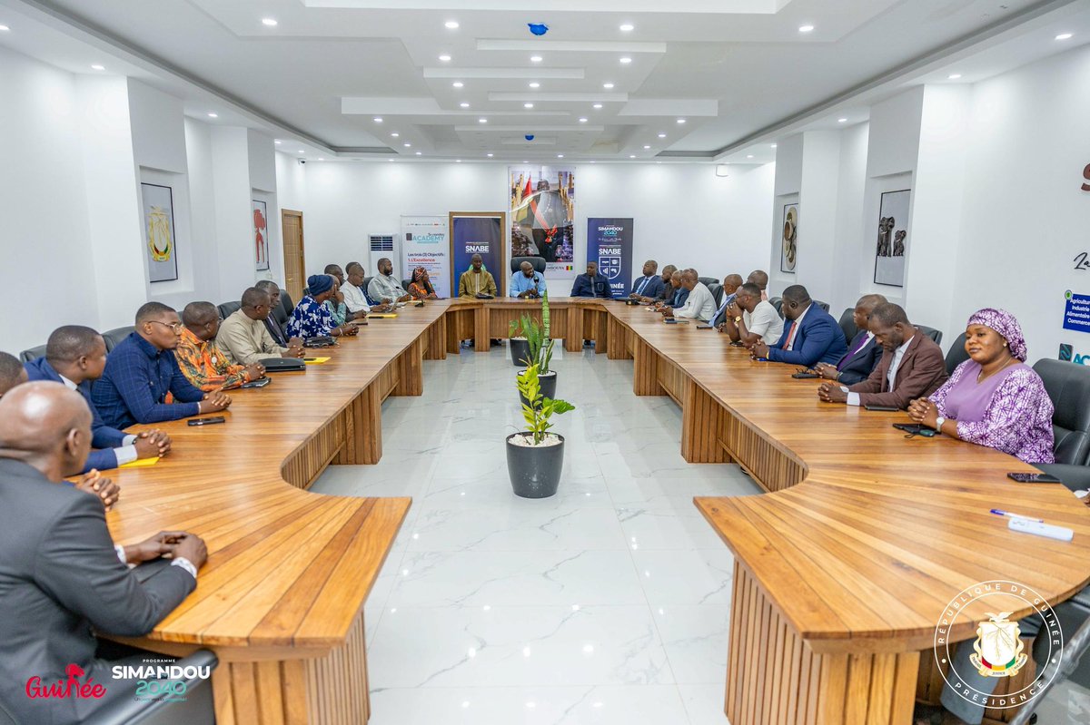 COMITÉ STRATÉGIQUE DE SIMANDOU tweet media