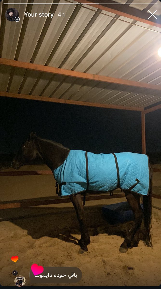 بخصوص الي يقول باقي خوذة دايموند؟؟؟