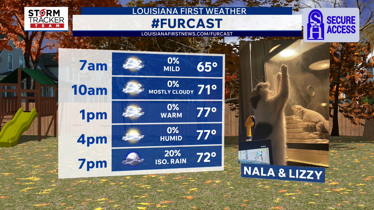 AlexNoelWx's tweet photo. Furcast ... Furcat...Scalecast...?

Regardless, hello Nala and Lizzy! 

#Louisiana #lawx #mswx https://t.co/q6uVV0SHxA
