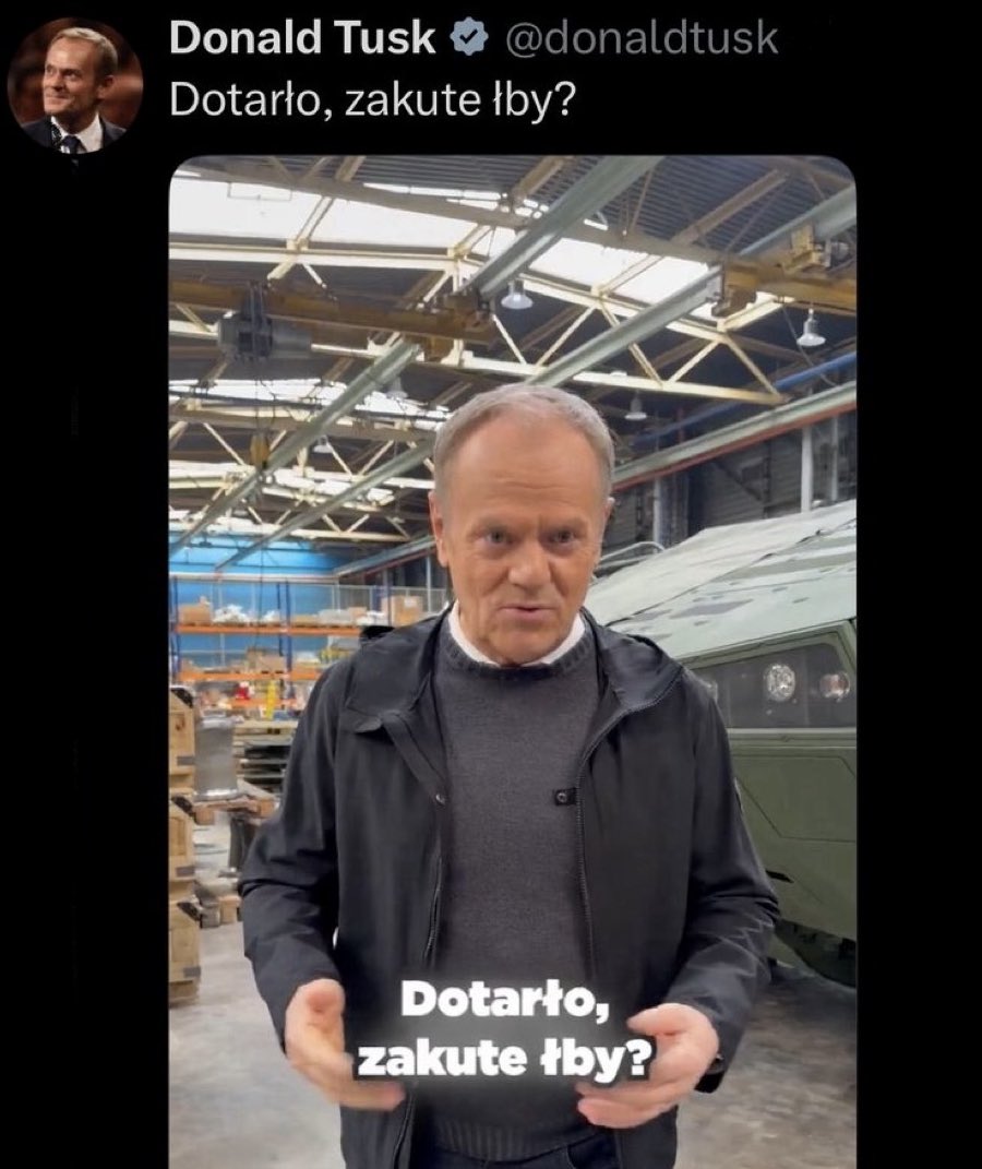 Marianna Schreiber tweet media