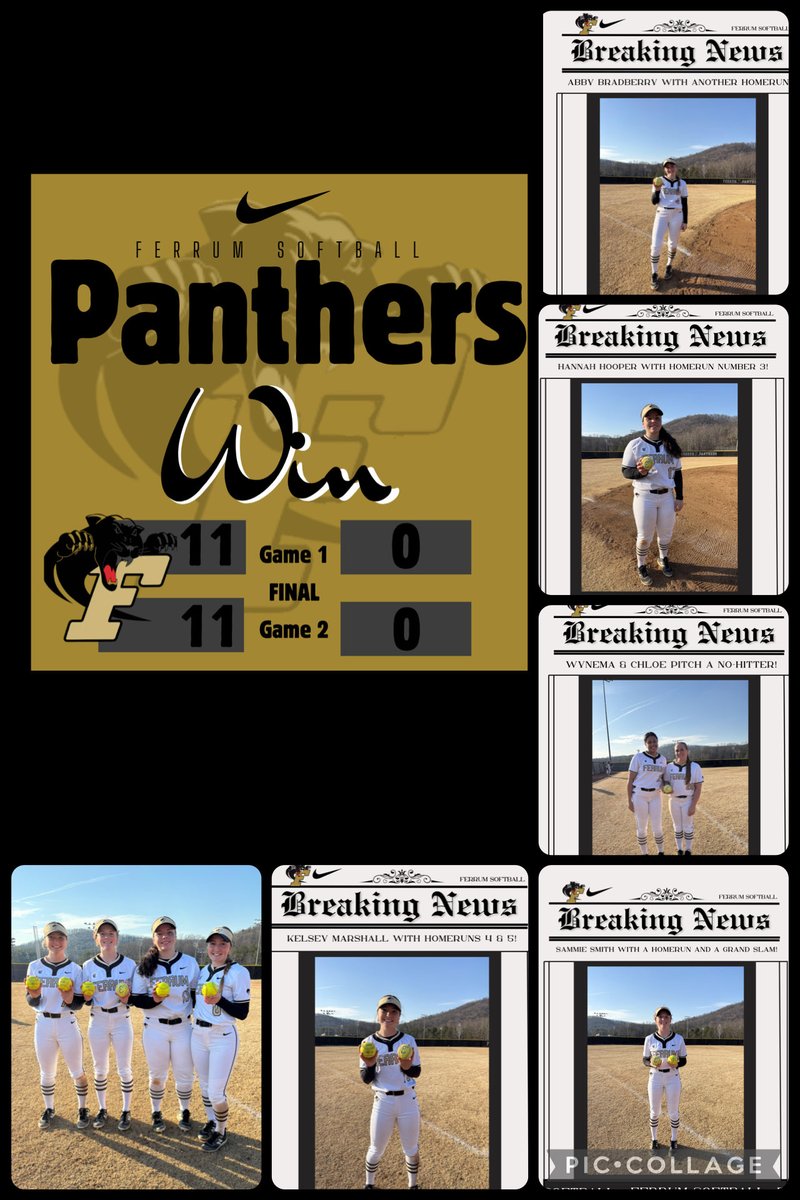 Ferrum Softball tweet media