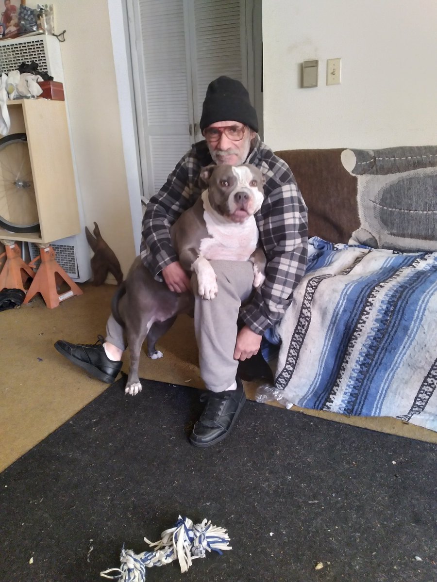 Graciela Brown tweet media