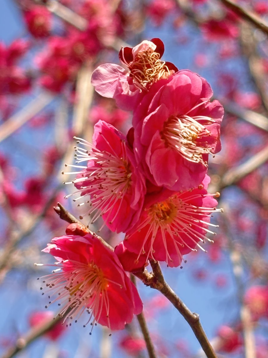 おはようございます