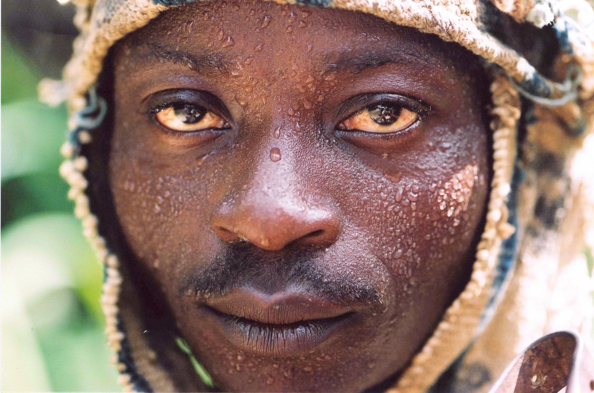 Robert Young Pelton tweet media