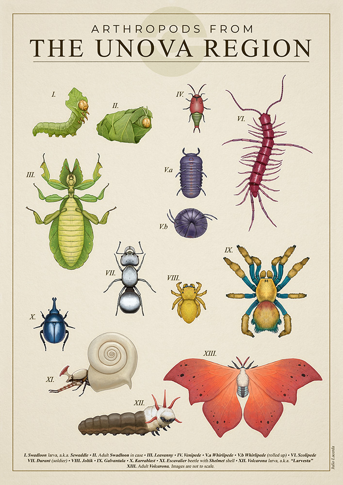 Untitled Animation tweet media