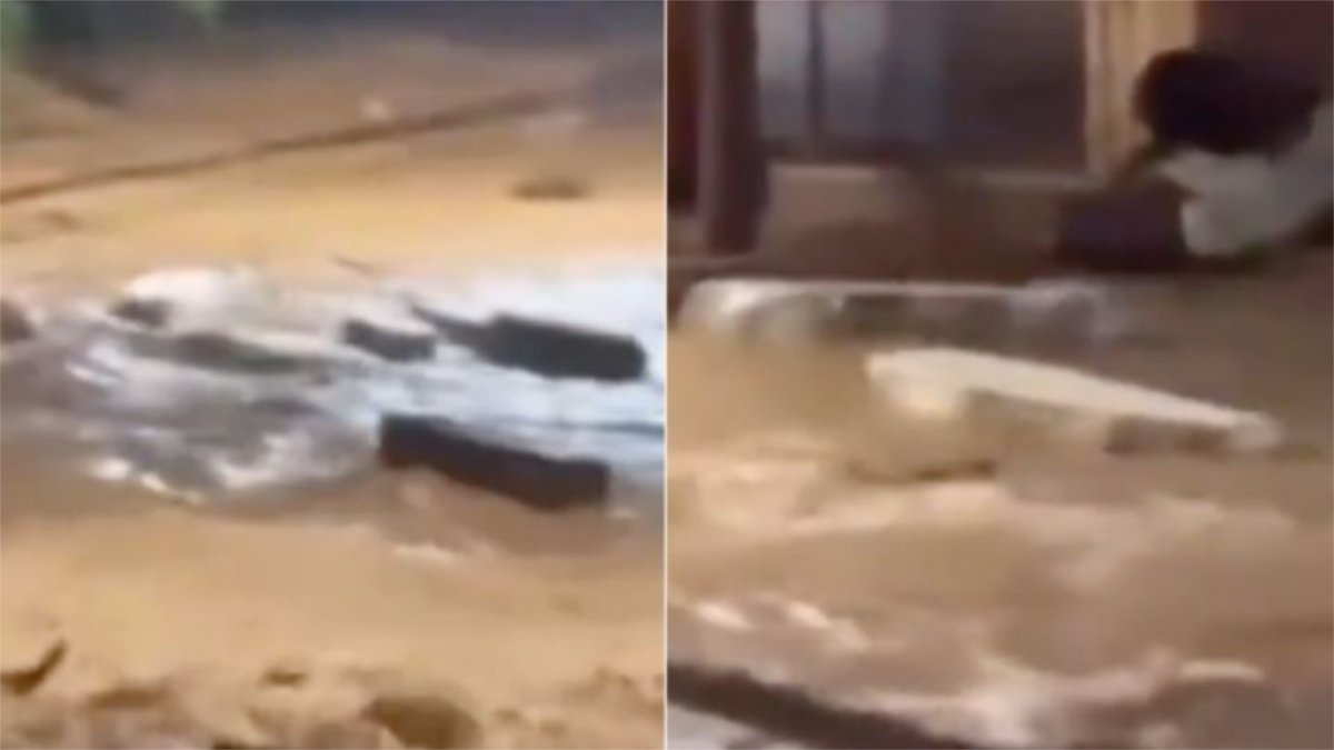 Ataúdes flotan en calles de Brasil tras fuertes inundaciones |
Ver Nota Completa 🡆
 contrasteslanoticia.com.mx/ataudes-flotan…