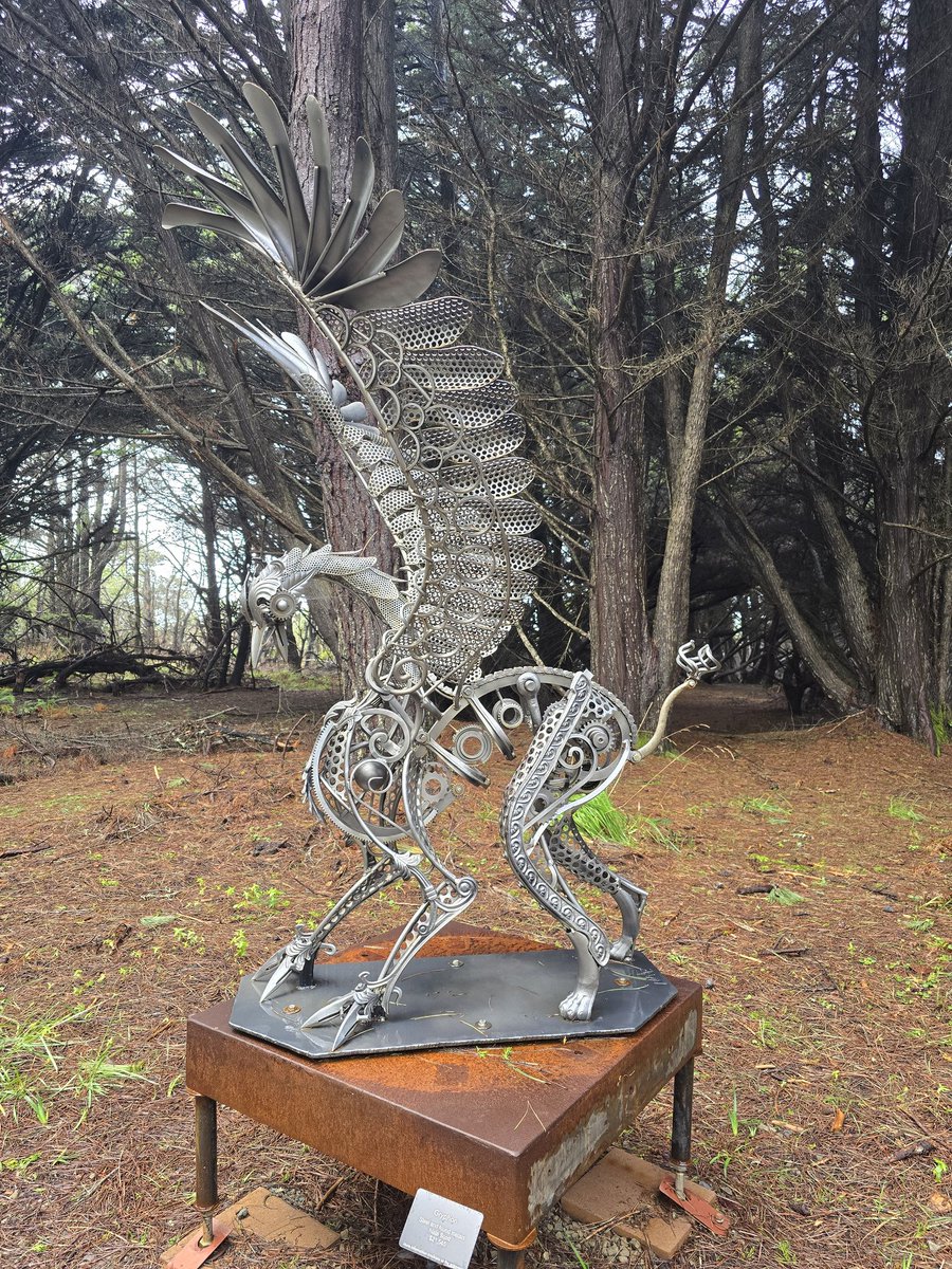 GraceIsMyAnchor's tweet image. A few random photos from my visit to the botanical gardens in fort Bragg this morning. Fort Bragg California.