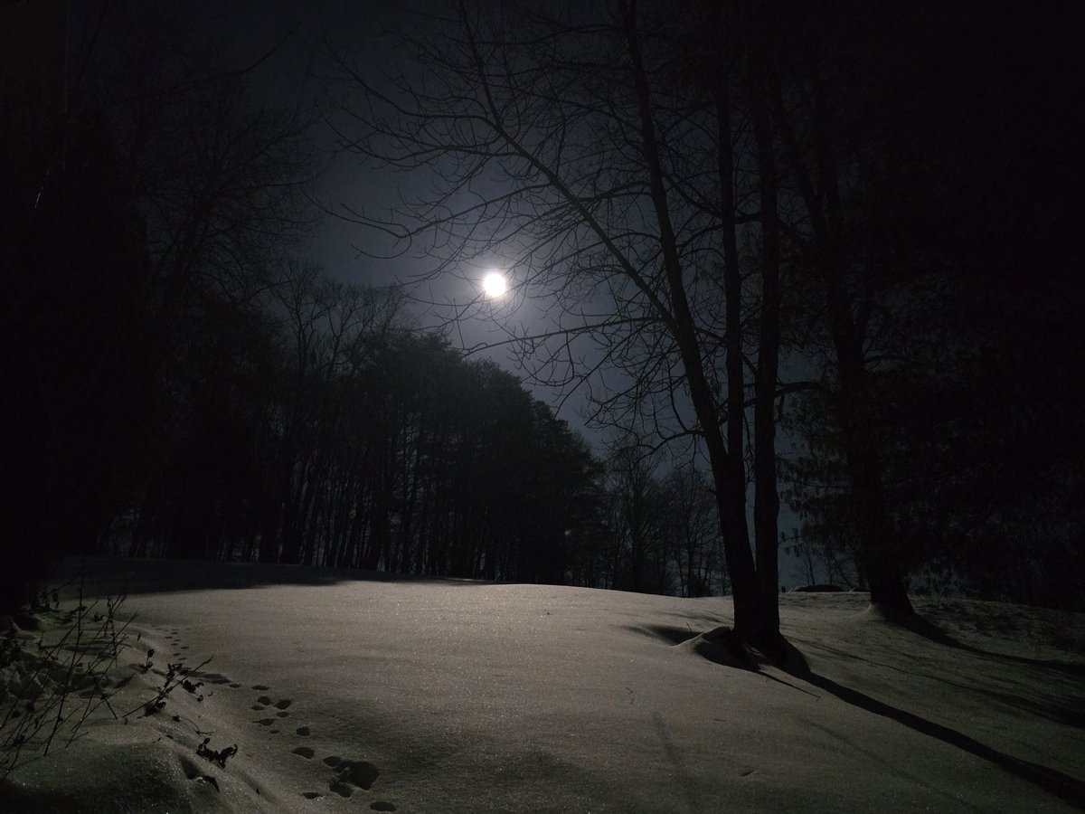 obsidian82's tweet photo. #moon #nightsky #winternights #coldnights #amateurphotography https://t.co/IT36nOuT07
