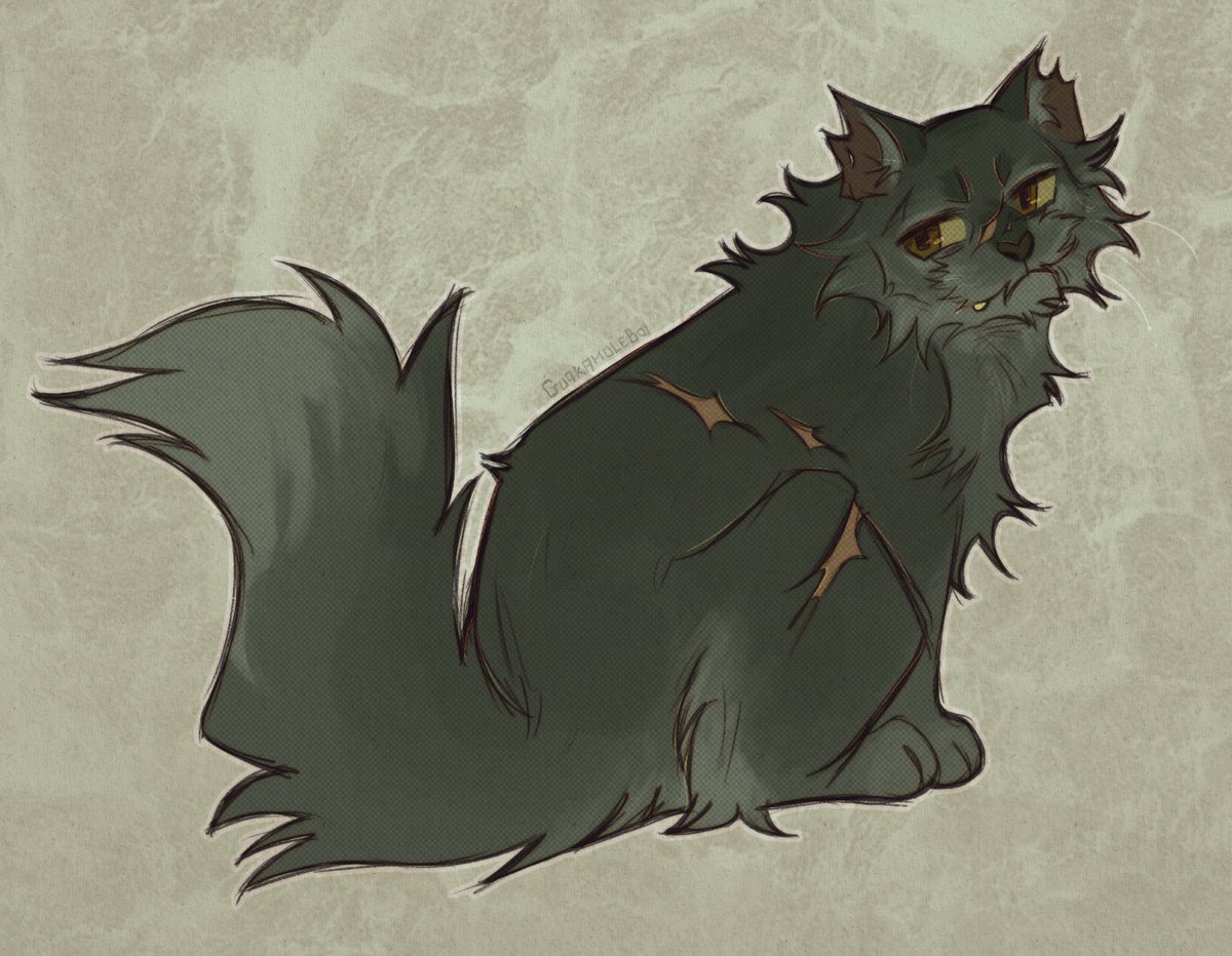 GuakamoleBoi ✨🥑 tweet media