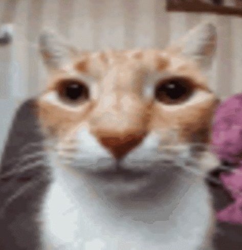 Dogedev🔰(END SCREEN CRISIS👾) tweet media