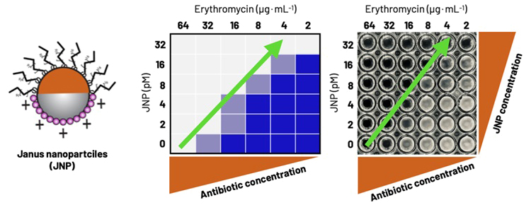 Science Japan tweet media