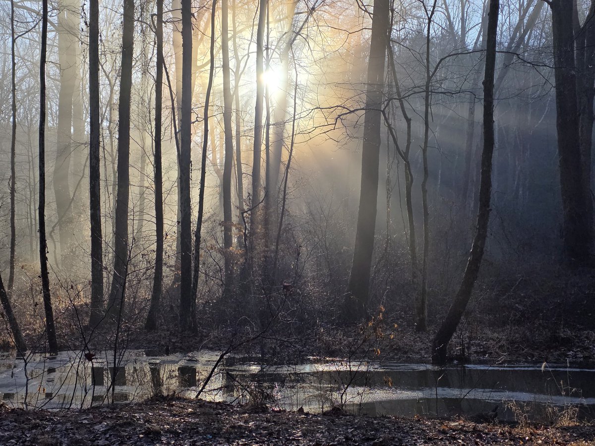 obsidian82's tweet photo. #winter #sunrise #dailytravels #backroads #beautiful #naturephotography #photography #ohionature #countryliving #ohio #home #amateurpicturetaker #amateurphotography #ohiophotographer #ohioamateurpicturetaker  #ohioamateurphotographer  #s25ultraphotography #s25ultra https://t.co/gumHYYZoVf