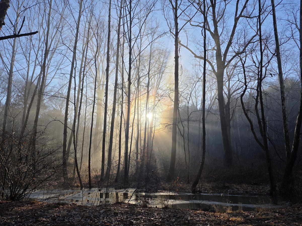obsidian82's tweet photo. #winter #sunrise #dailytravels #backroads #beautiful #naturephotography #photography #ohionature #countryliving #ohio #home #amateurpicturetaker #amateurphotography #ohiophotographer #ohioamateurpicturetaker  #ohioamateurphotographer  #s25ultraphotography #s25ultra https://t.co/gumHYYZoVf