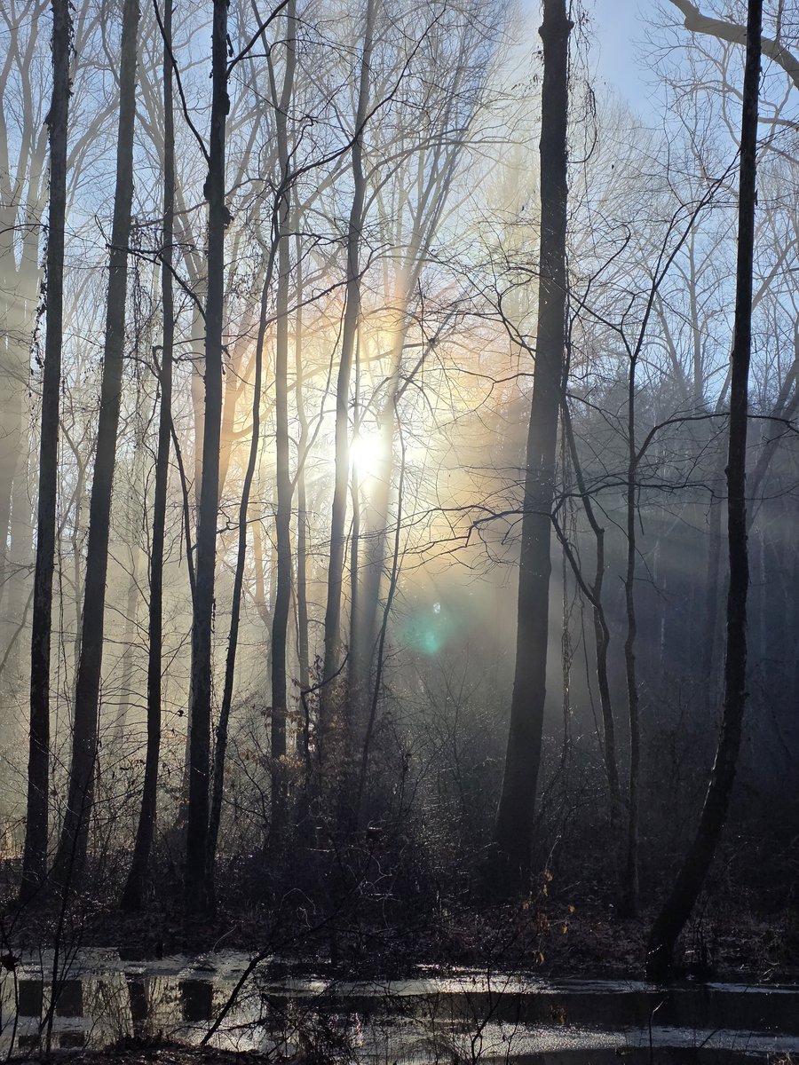 obsidian82's tweet photo. #winter #sunrise #dailytravels #backroads #beautiful #naturephotography #photography #ohionature #countryliving #ohio #home #amateurpicturetaker #amateurphotography #ohiophotographer #ohioamateurpicturetaker  #ohioamateurphotographer  #s25ultraphotography #s25ultra https://t.co/gumHYYZoVf
