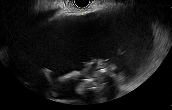 Muhammad Arslan Baig tweet media