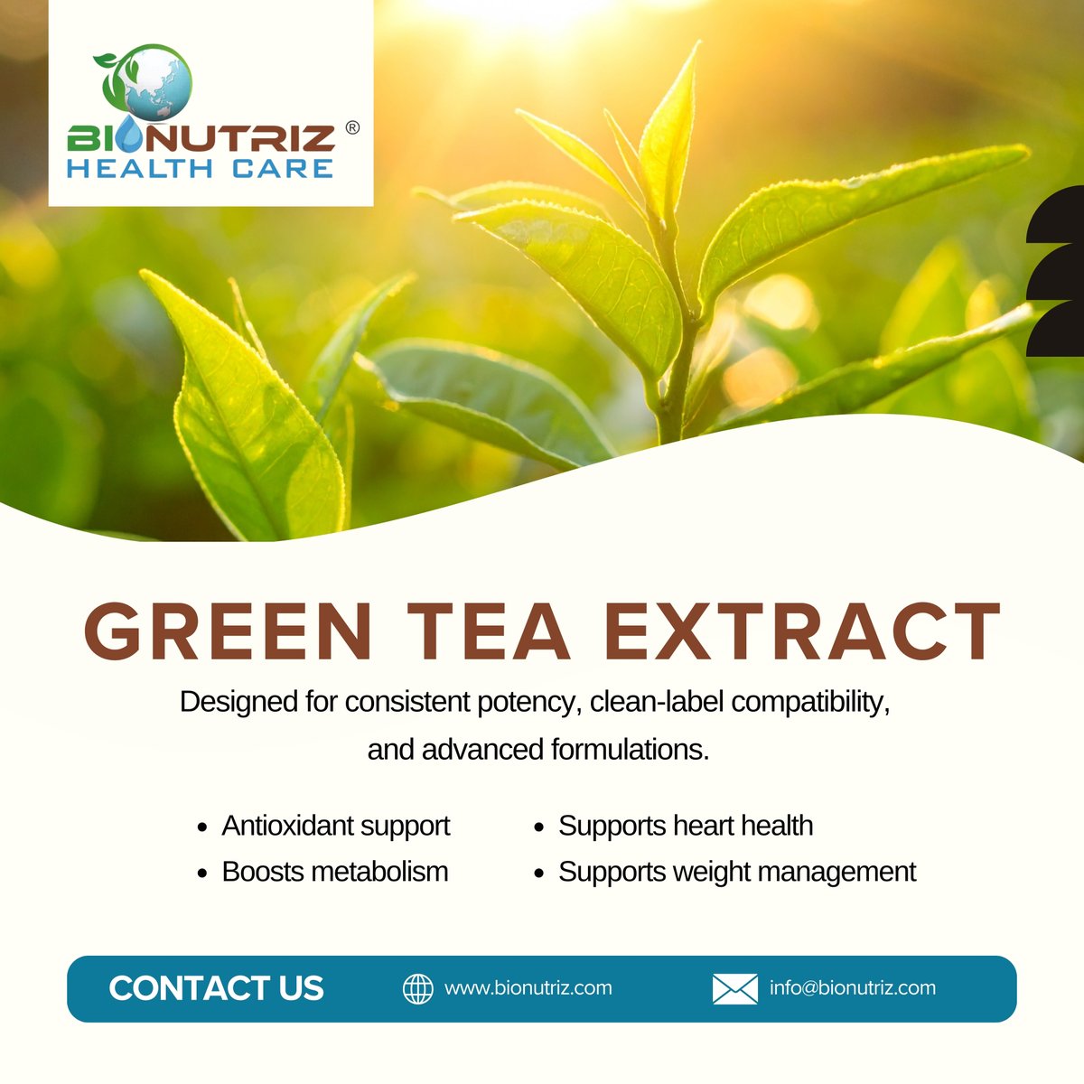 bio_nutriz's tweet image. Green Tea Extract from Camellia sinensis is rich in catechins (EGCG) offering powerful antioxidant support. Ideal for metabolism, weight management &amp;amp; heart health formulations.

#GreenTeaExtract #AntioxidantSupport #MetabolicHealth #Nutraceuticals #BionutrizHealthcare