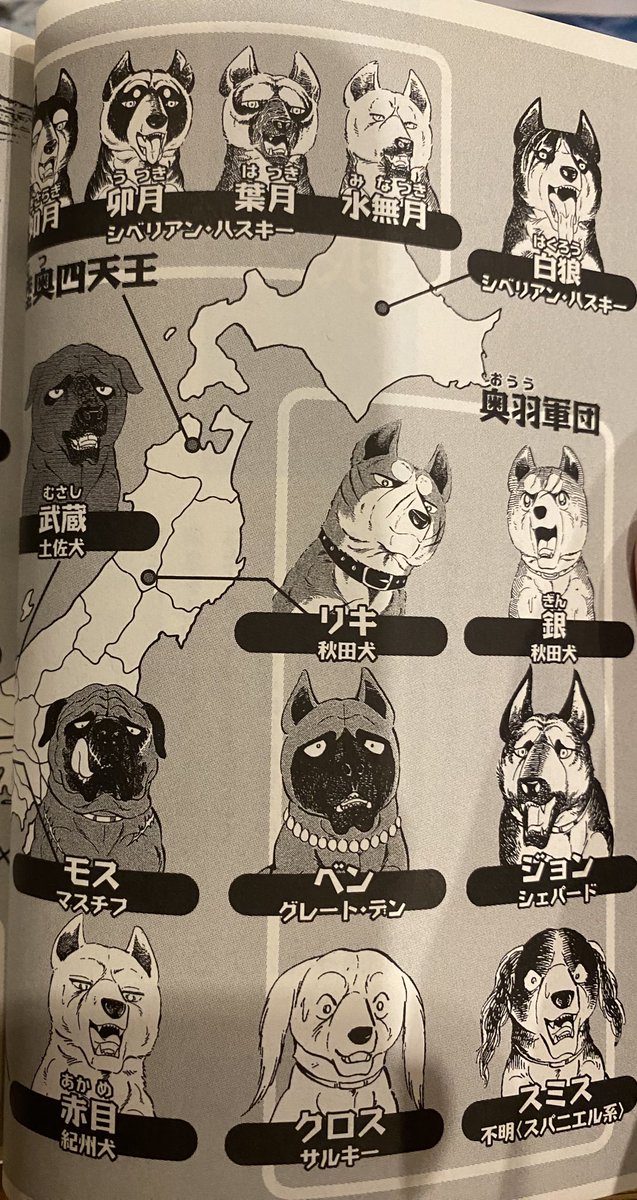 🌌高橋よしひろ先生新連載🌌銀牙伝説レクイエム🌌 (@katukatu210