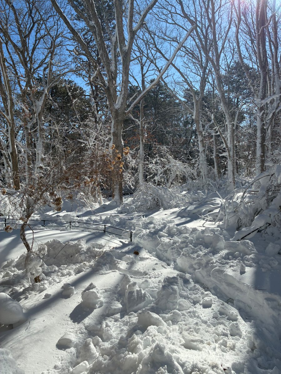 CapeCodBars's tweet image. So done with winter. Not used to snow on #CapeCod, been here 20 years, so when it came it certainly returned with a bang Monday. Drove around Tuesday, long lines for gas (for generators), liquor stores open, everything else closed, trees down on roadsides, traffic lights out.