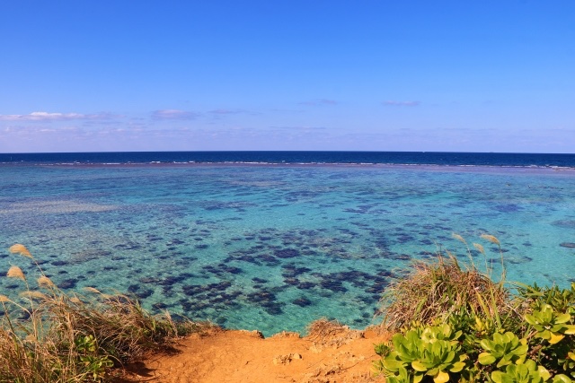 琉球物語　琉球の魅力を全国に🌻　《沖縄県地域創生》 tweet media