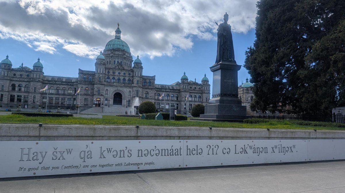 Dallas Brodie tweet media