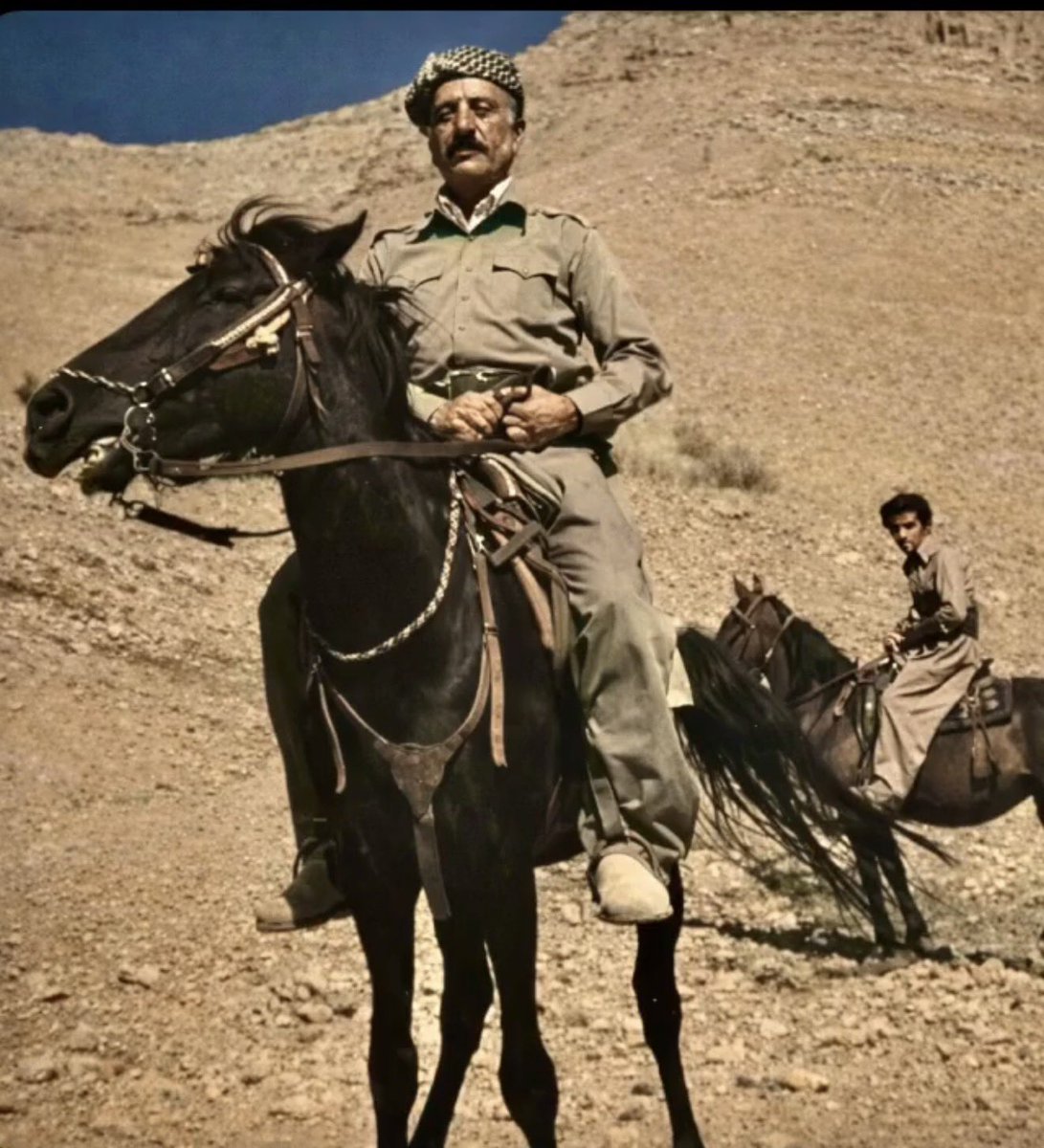 هـیم tweet media