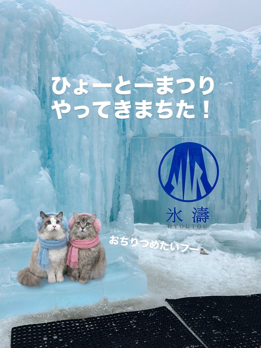 わたあめ (@wataamedetyuyo) / Posts / X