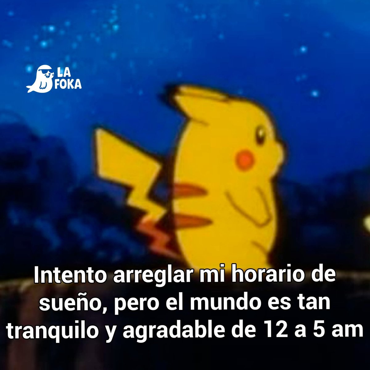 Vivi Saucedo tweet media