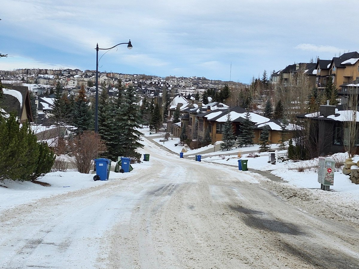 Walking Calgary tweet media