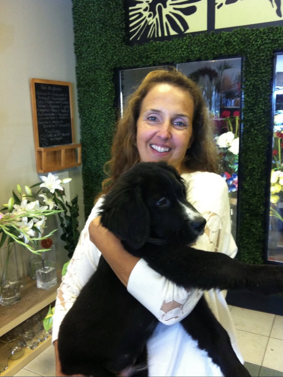 Durdica smith tweet media