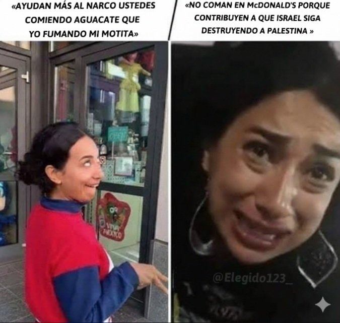 Hice un meme de esos zurdos-marihuaneros-activistas-hipócritas.