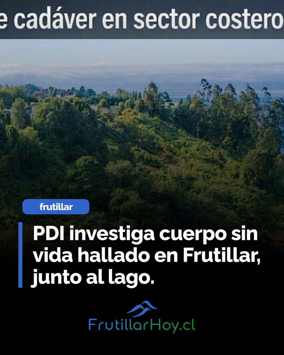 La PDI investiga el hallazgo de un cuerpo sin vida en la ribera del lago Llanquihue, en Frutillar. El cadáver, de sexo masculino y aún sin identificar, fue encontrado suspendido por una cuerda. Detalles de la investigación en curso: frutillarhoy.cl/frutillar/hall…