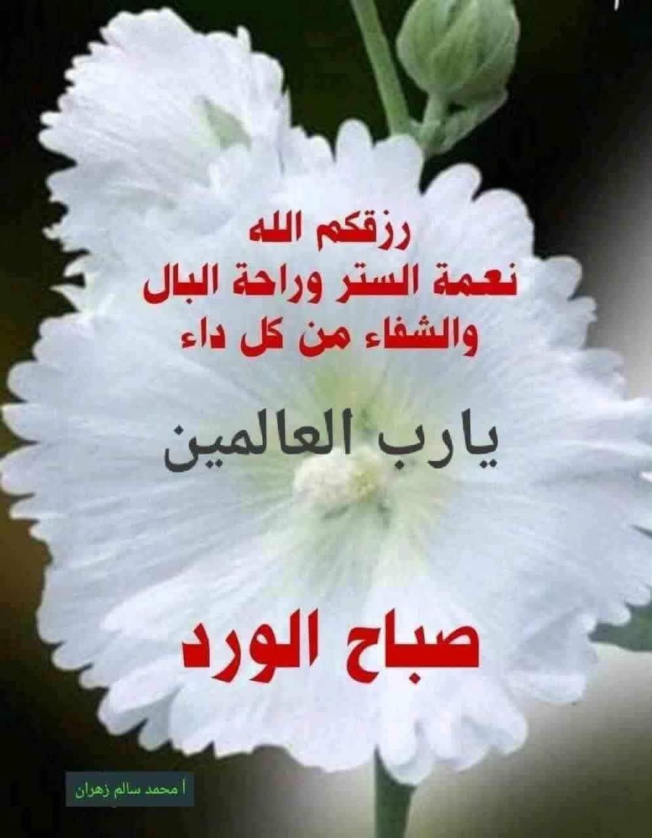 hader_al's tweet photo. https://t.co/SOOPamoqq9