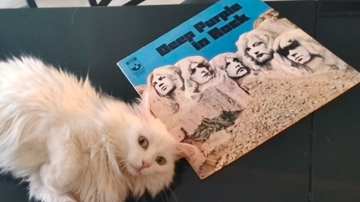 Cale/Gallagher (Kate) tweet media