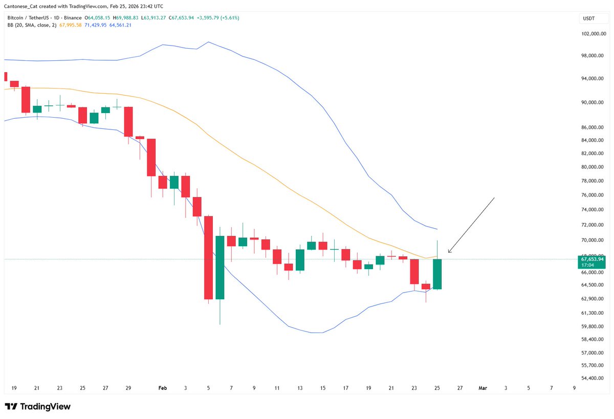 Cantonese Cat 🐱🐈 tweet media