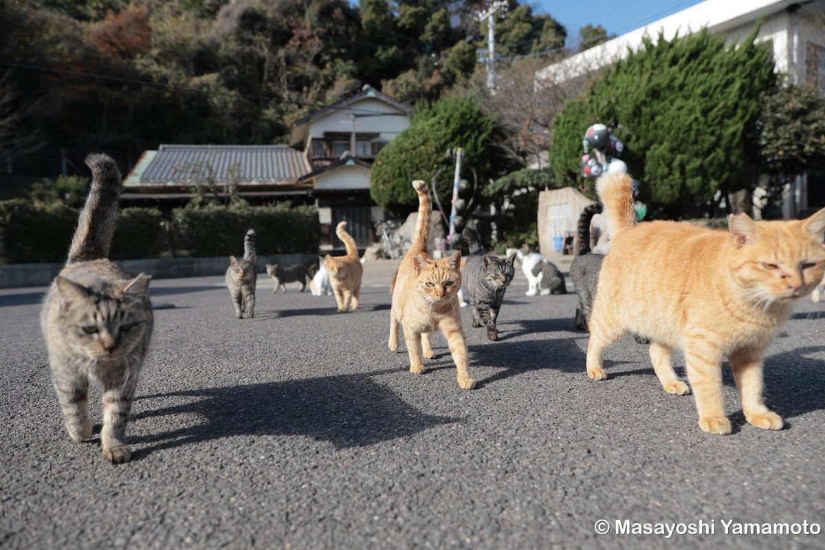 ずんずんずん。