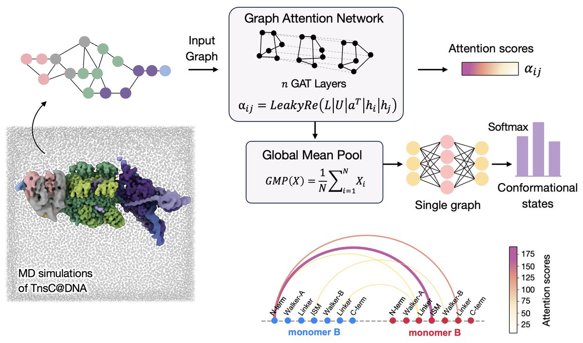 Giulia Palermo tweet media