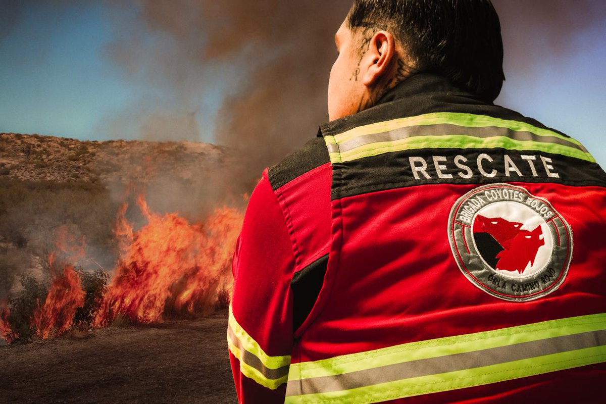 Orla Camino Rojo brinda apoyo oportuno ante incendio carretero en Mazapil acortar.link/vr7Xgj