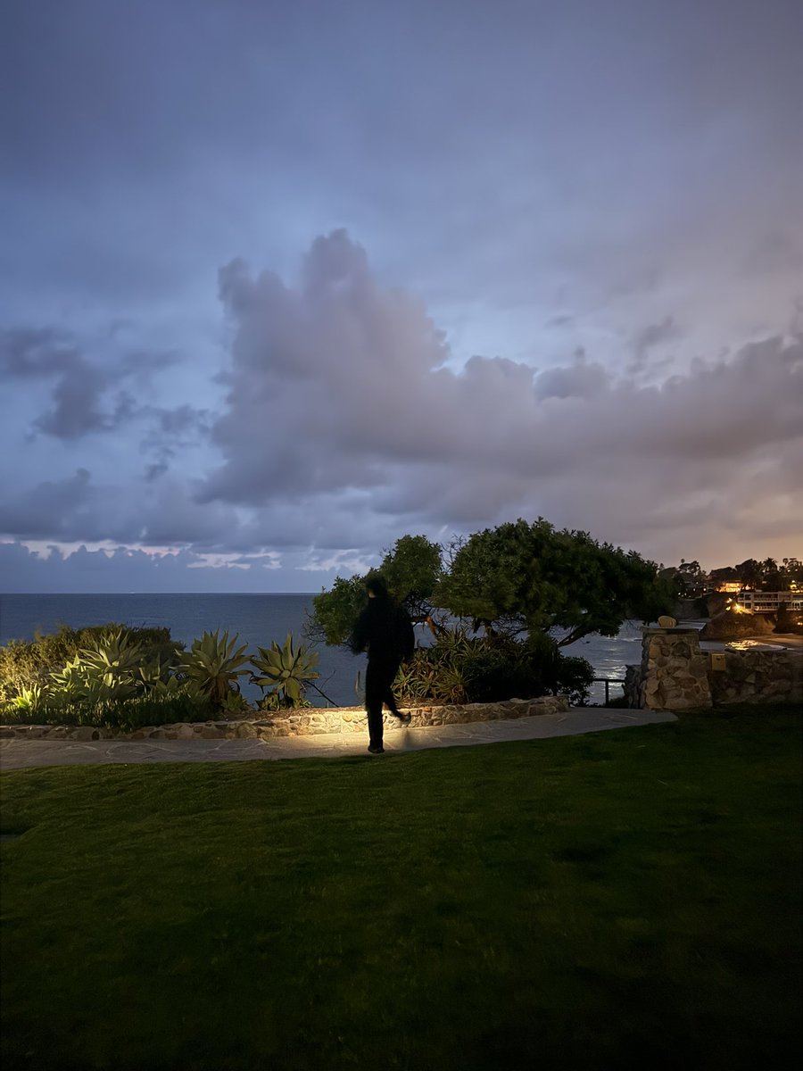 sin city tweet media