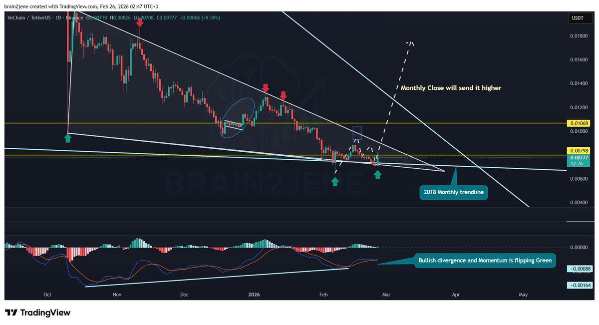 Brain2jene💫 tweet media