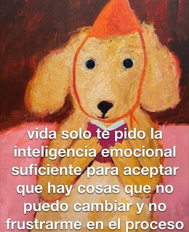 Dilo con perritos (@diloconperritos) on Twitter photo 