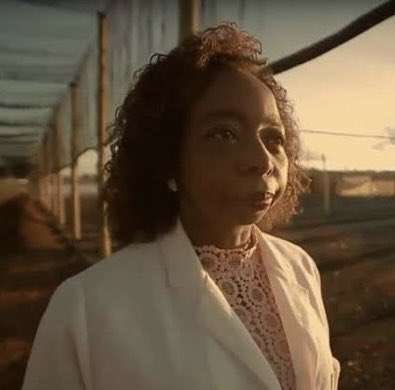 túlio ☀️ tweet media