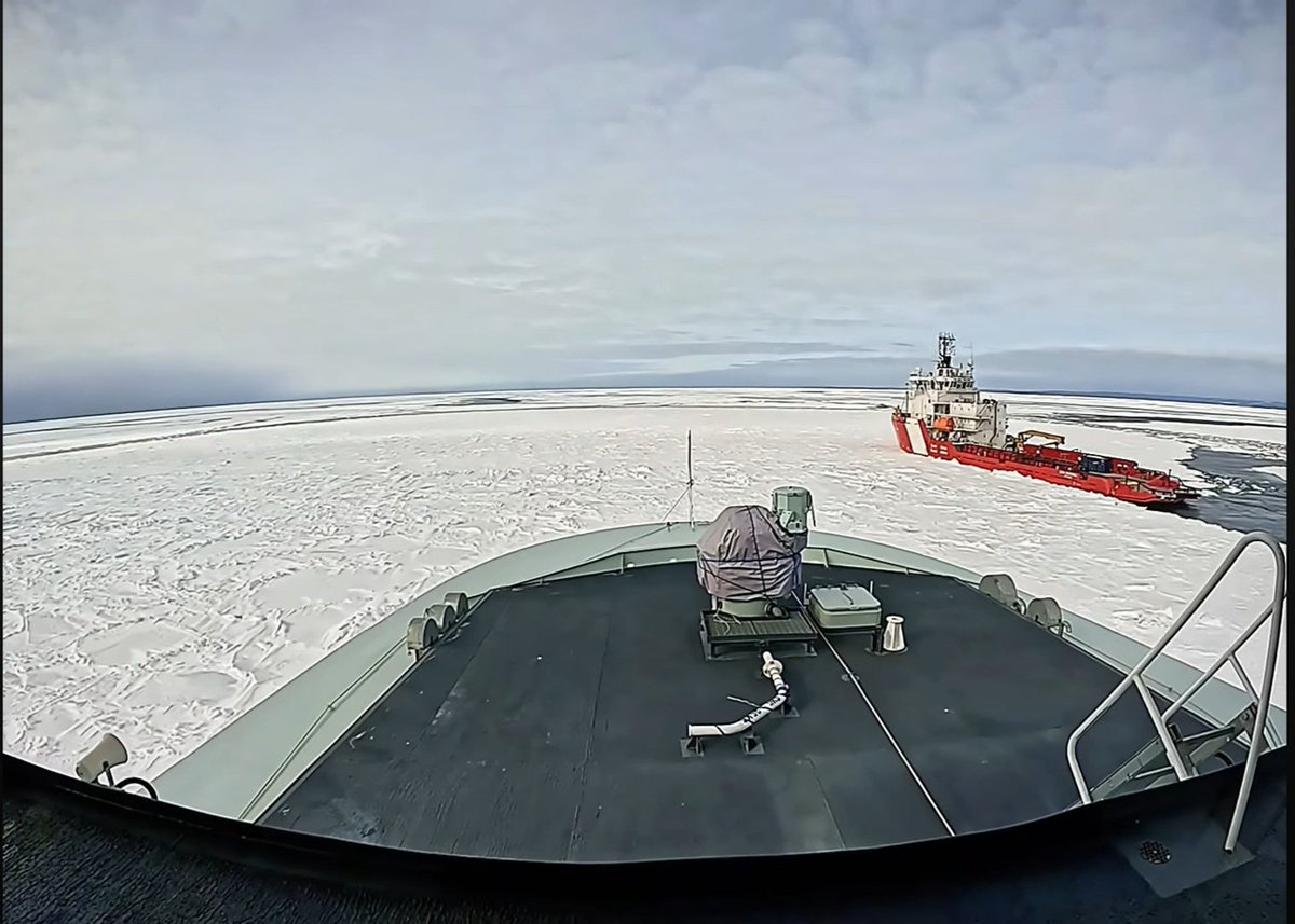 Jamie D Fox tweet media