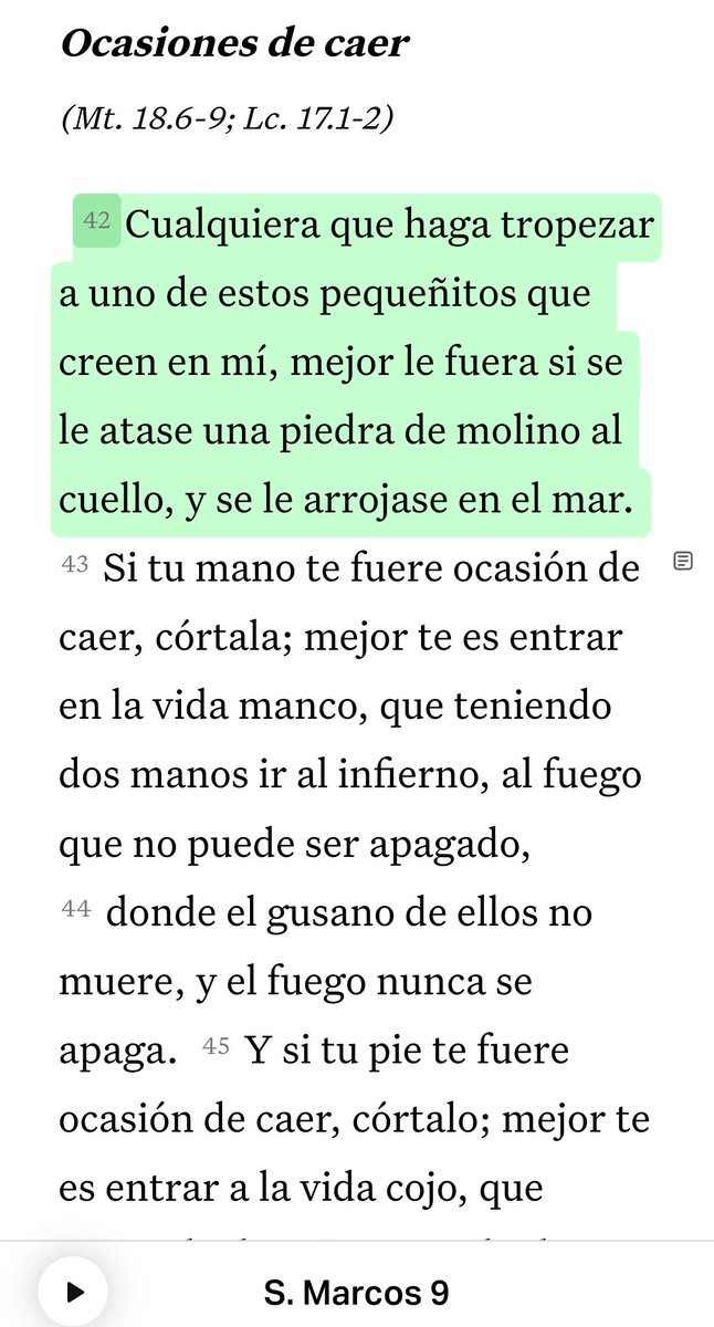 Brillo 101 tweet media