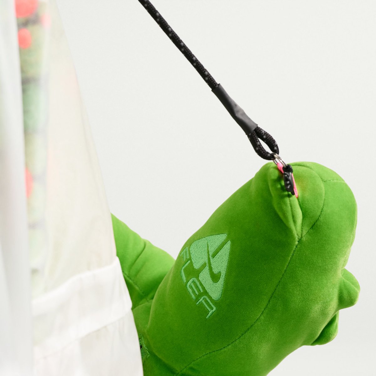 nicekicks's tweet photo. The storage carrying pouch 🤯🦎 https://t.co/ZxH9R8o5Hl